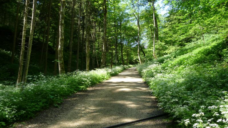 Richtung Filsursprung